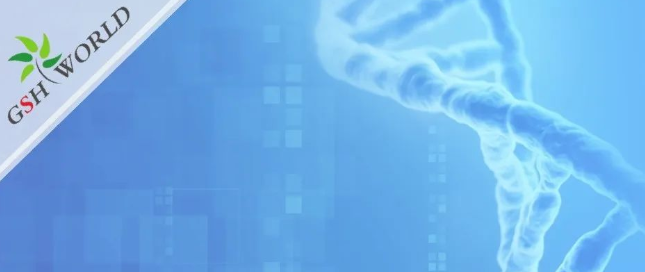 煙酰胺和nmn區(qū)別？煙酰胺單核苷酸(NMN) 的化合物
