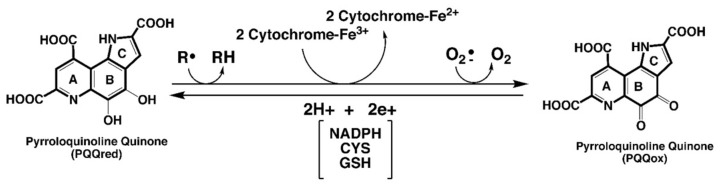 包含圖片、插圖等的外部文件。
對象名稱為 biomolecules-11-01441-g001.jpg