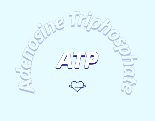 ATP 補充劑有什么作用？
