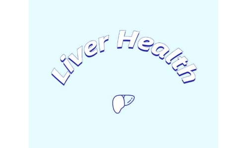 哪些原料可助力肝臟健康？
